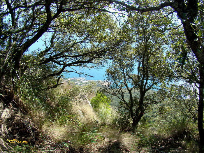 Alla conquista della vetta di Monte Circeo